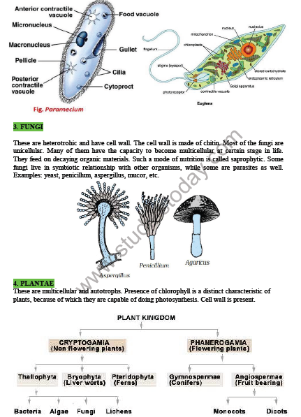 cbse-class-9-science-diversity-in-living-organisms-notes